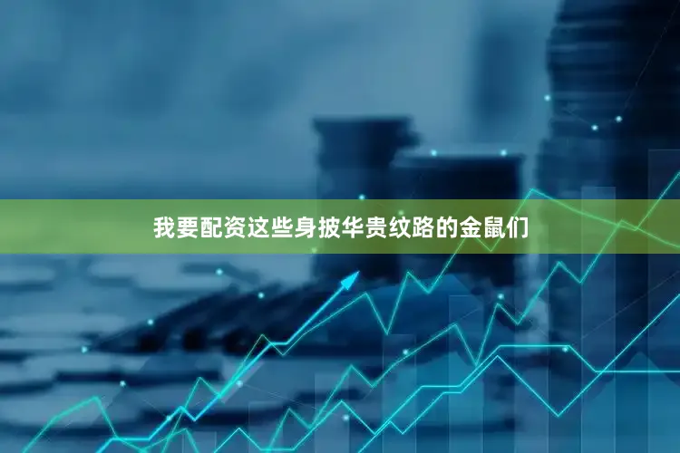 我要配资这些身披华贵纹路的金鼠们