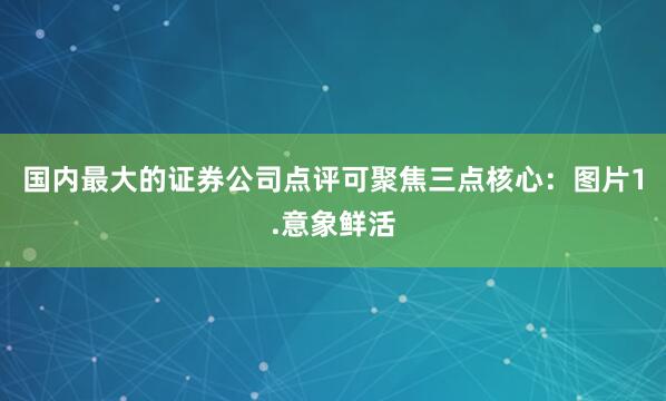 国内最大的证券公司点评可聚焦三点核心：图片1.意象鲜活